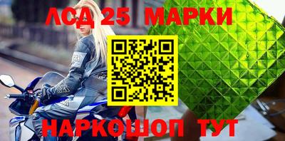 гидропоника Тверь